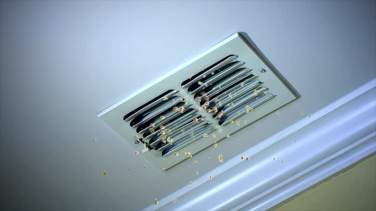 Best Affordable Air Duct Cleaning  in Williamstown, WV