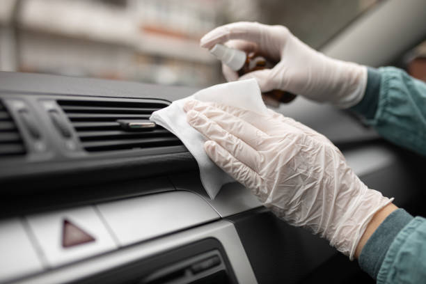 Best Professional Duct Cleaning Services  in Williamstown, WV