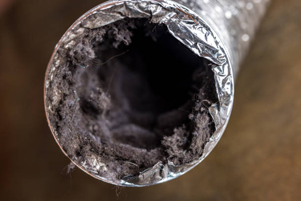 Best Air Duct Cleaning Near Me  in Williamstown, WV