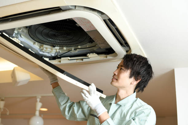 Best HVAC Air Duct Cleaning  in Williamstown, WV