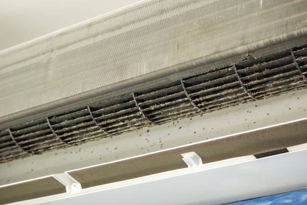 Home Air Vent Cleaning in Williamstown, WV