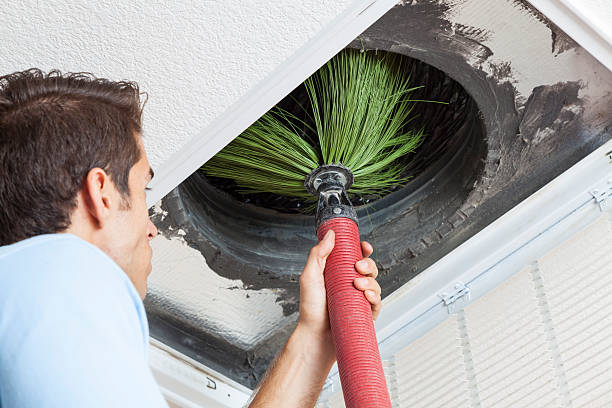 Best Emergency Air Duct Cleaning  in Williamstown, WV